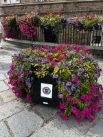 Blumenkästen vor der St. Peter Port Church