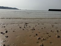 Strandspaziergang