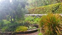 Inverewe Garden 20230825_140015.jpg
