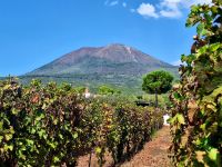 Weingut mit Blick zum Vesuv