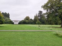 Dublin: Phoenix Park