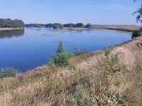 Und immer wieder entlang der Loire