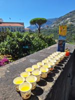 Bello Lemoncello in Ravello