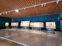 Paestum - Archäologisches Museum (Grab des Tauchers)