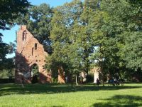 DSCN7832.JPG   Klosterruine Eldena