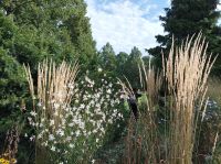 Bern, Stadtführung Rosengarten