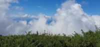 kein Ausblick