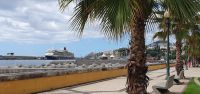 Hafenpromenade Funchal