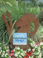 der Ort zwischen Thuner und Brienzer See