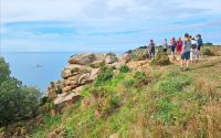 Wanderung an der Südküste von Jersey