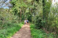 Auf der alten Eisenbahnstrecke wandern wir zurück nach St. Aubin