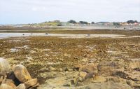 Rocquaine Bay an der Westküste von Guernsey