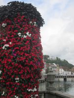 Luzern: Blumenpracht und Schlosshotel Gütsch