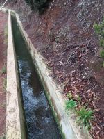 Entlang der Levada