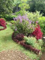 Gärtner pflegen das Paradies