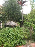 Kräutergarten Esmeralda