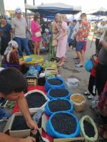 Siyob-Basar in Samarkand