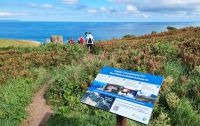 Vogelschutzgebiet bei Plemont an der Nordküste