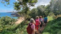 Wanderweg nach Greve de Lecq an der Nordküste Jerseys