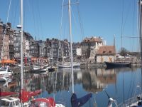 Honfleur, Hafenbecken