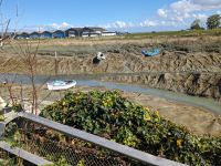 Flussmündung bei Ebbe