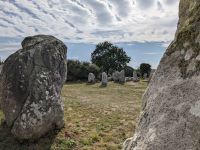 Alignement (Steinreihen) von Kerzerho