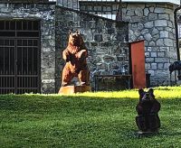 Vor Schloß Sinaia sehen wir die ersten Bären 