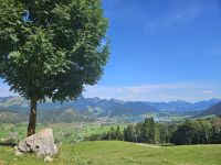 Blick auf den Walchsee.jpg