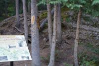 Eichho¨rnchen am Maligne Canyon