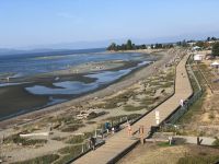 Strand von Parksville bei Ebbe