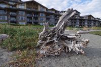Am Strand von Parksville 3