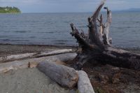Am Strand von Parksville