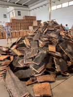 Korkeichenfabrik Evora (4)