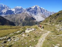 unser Wanderweg in Richtung Düsseldorfer Hütte