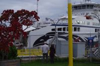 Swartz Bay Fa¨hrterminal