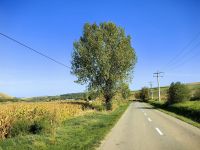 Landstraße in Siebenbürgen
