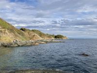 16. Reisetag – Von Tofino nach Victoria – Stadtrundfahrt/-spaziergang in Victoria – An der Salish Sea
