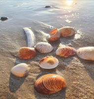 Letzter Strandspaziergang in St. Helier
