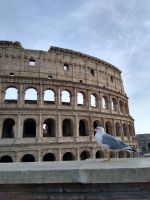 Kolosseum