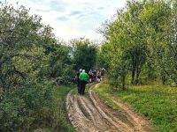 Wanderung entlang der Obstbäume 