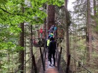 18. Reisetag – Ausflug nach North Vancouver & Aquarium – Capilano Suspension Bridge Park – Baumwipfelpfad