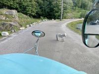 4. Reisetag – Von Québec nach Ottawa – Fahrt durch den Omega-Wildpark – Polarwolf