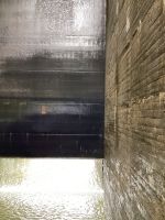IMG 4908
