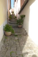 Künstlerstädtchen Szentendre