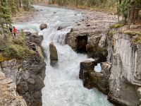 11. Reisetag – Ausflug im Jasper-Nationalpark – Spaziergang zu den Sunwapta Falls