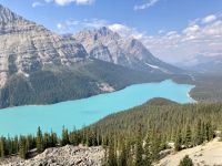 10. Reisetag – Von Banff nach Jasper – Icefields Parkway – Fotostopp am Peyto Lake