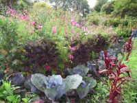 I gemüseee- und Blumengarten von Glenveagh