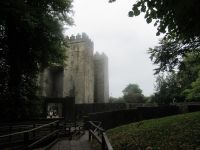  Bunratty Castle