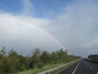  Ob wohl jemand den Topf voll Gold gefunden hat?