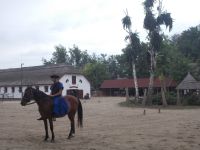 DSCN8030.JPG   Reitervorführung